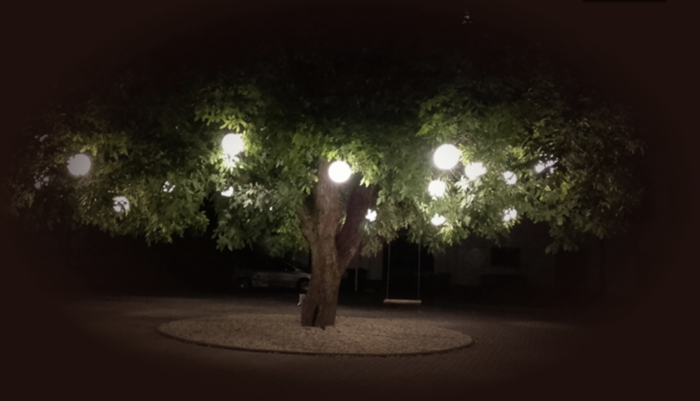 Snímek obrazovky 2025-10-21 v 14.55.53